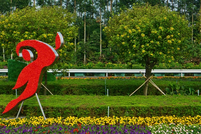 P1010449.jpg
