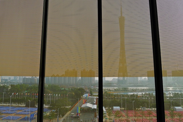 P1010698.jpg