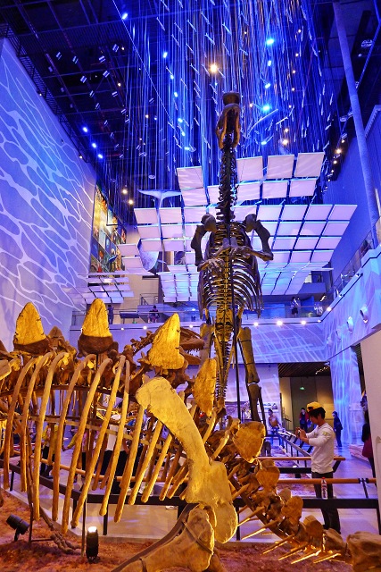 P1010743.jpg