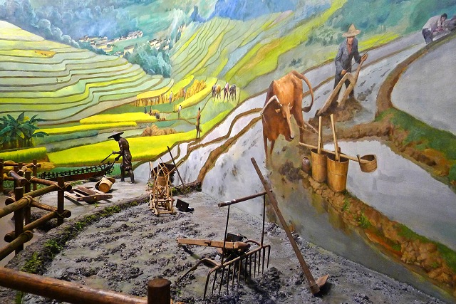 P1010673.jpg