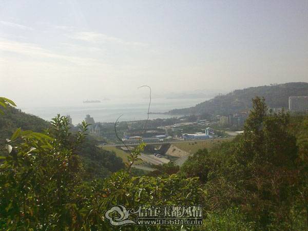 20101113751.jpg