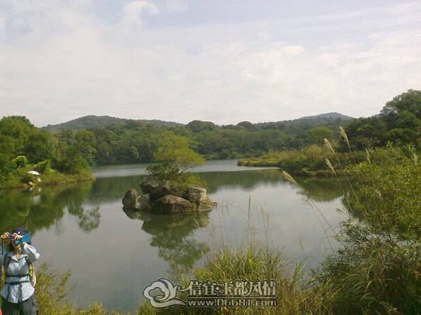 20101113780.jpg