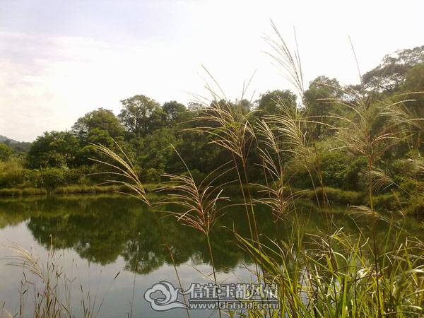 20101113781.jpg