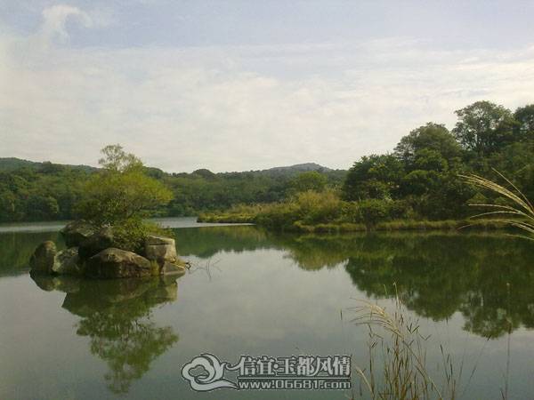 20101113782.jpg
