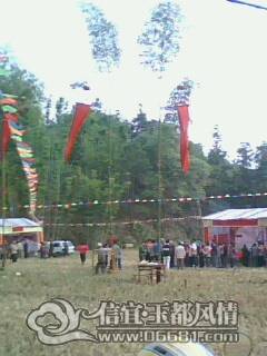 IMG0010B.jpg