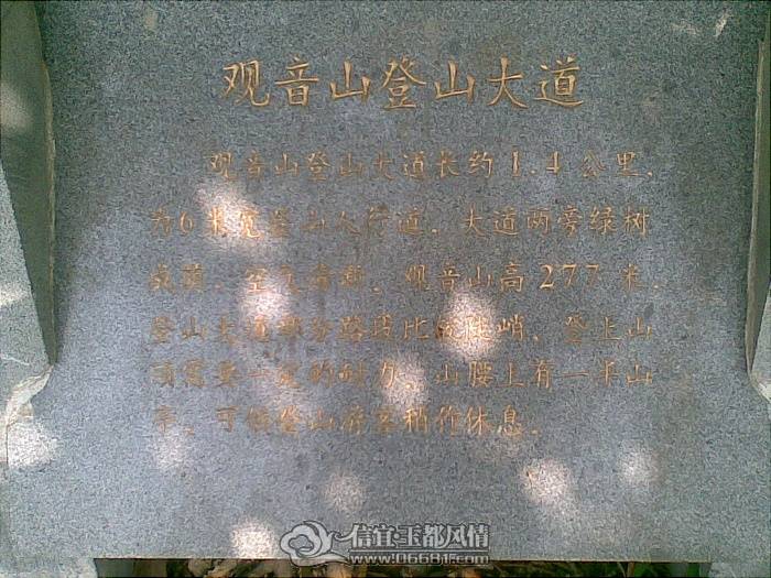 20101125_028.jpg