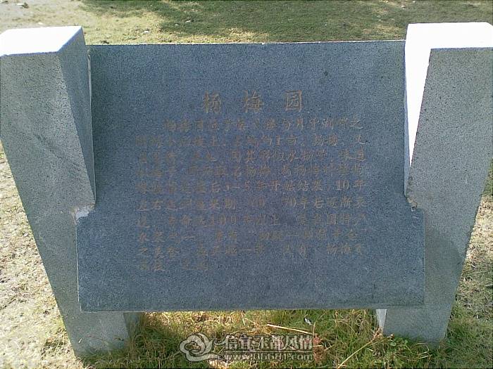 20101125_020.jpg