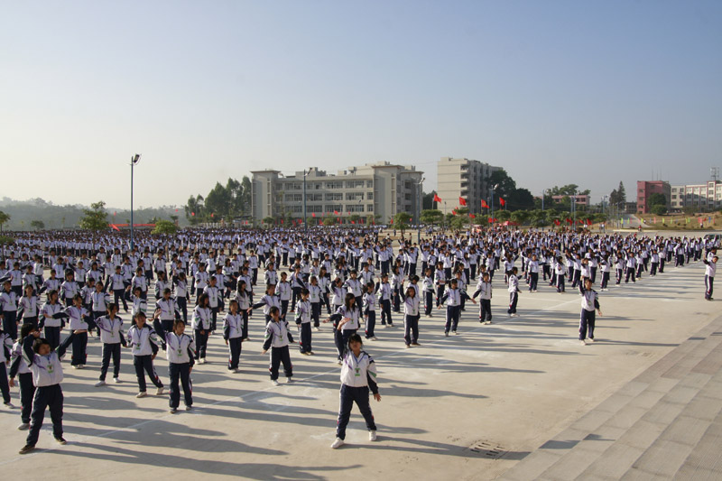 206.jpg