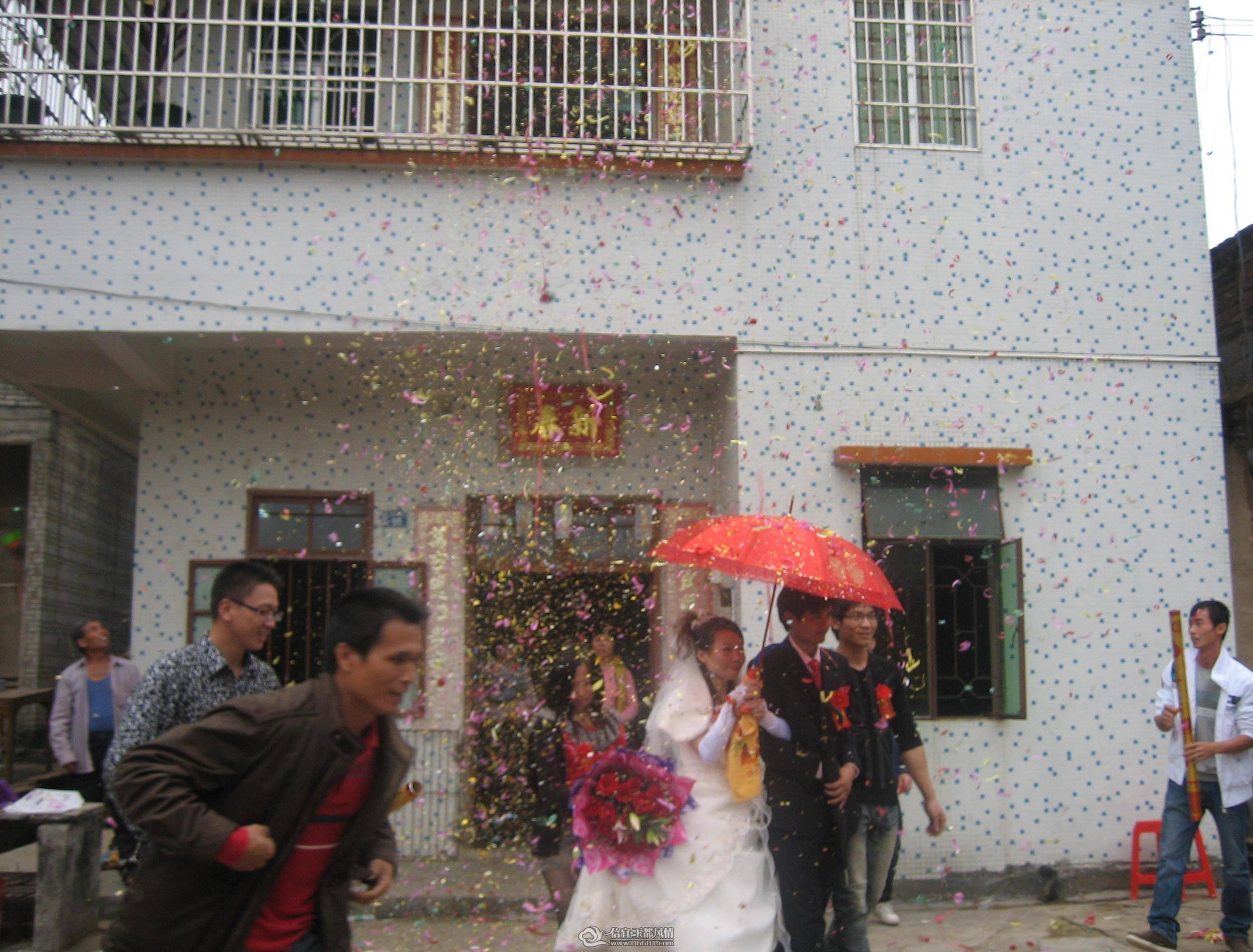 IMG_5559.jpg
