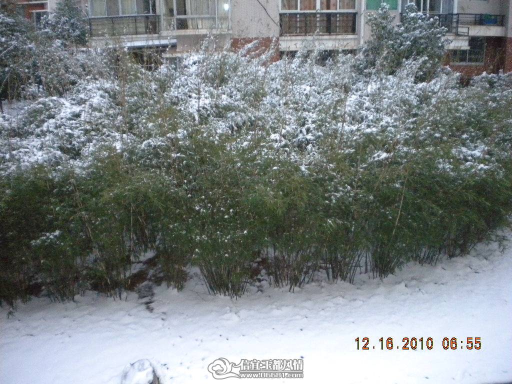 DSCN5768.JPG