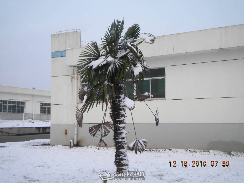 DSCN5790.JPG