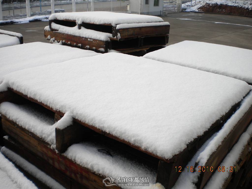 DSCN5807.JPG
