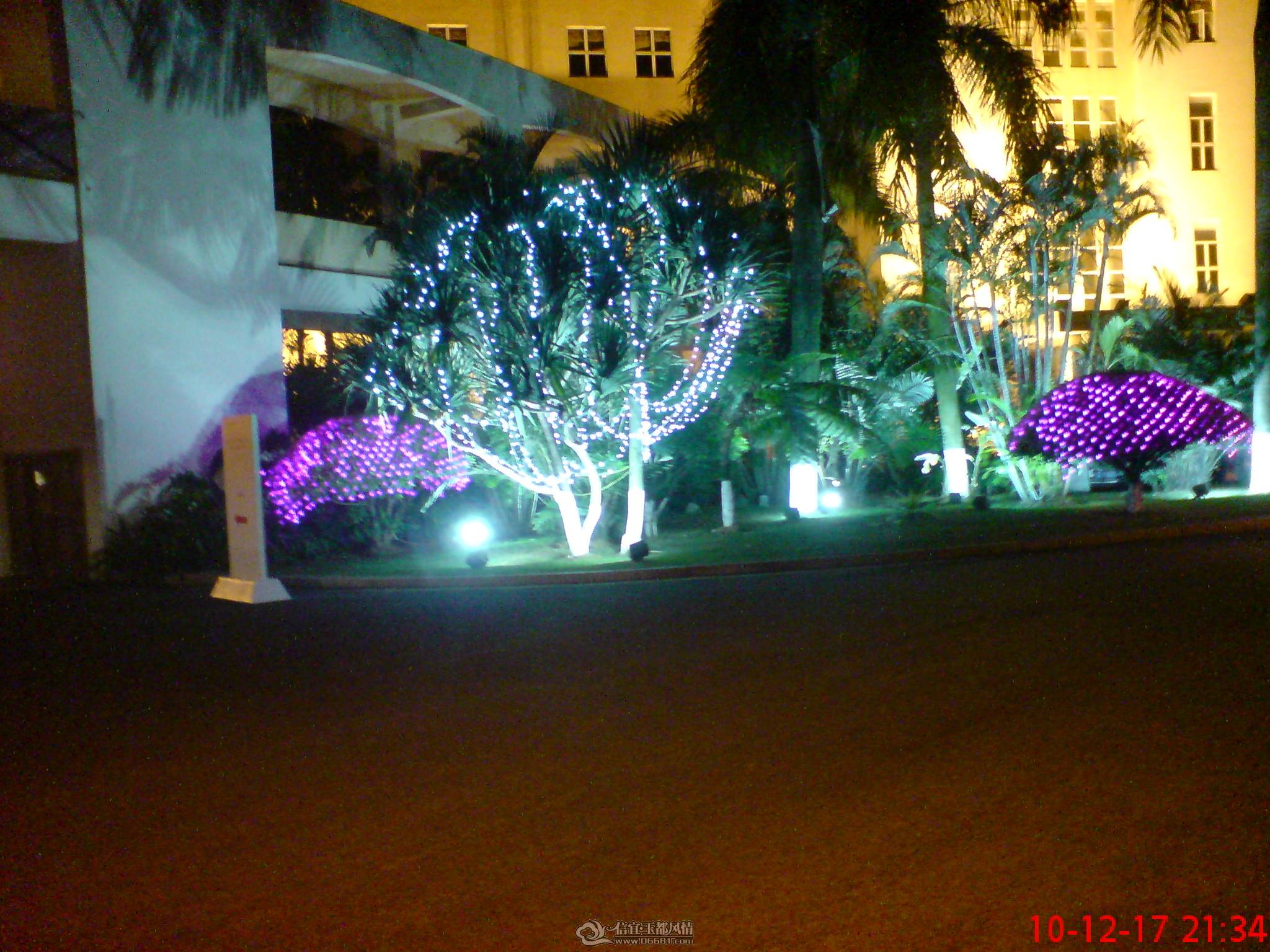 DSC00486.JPG