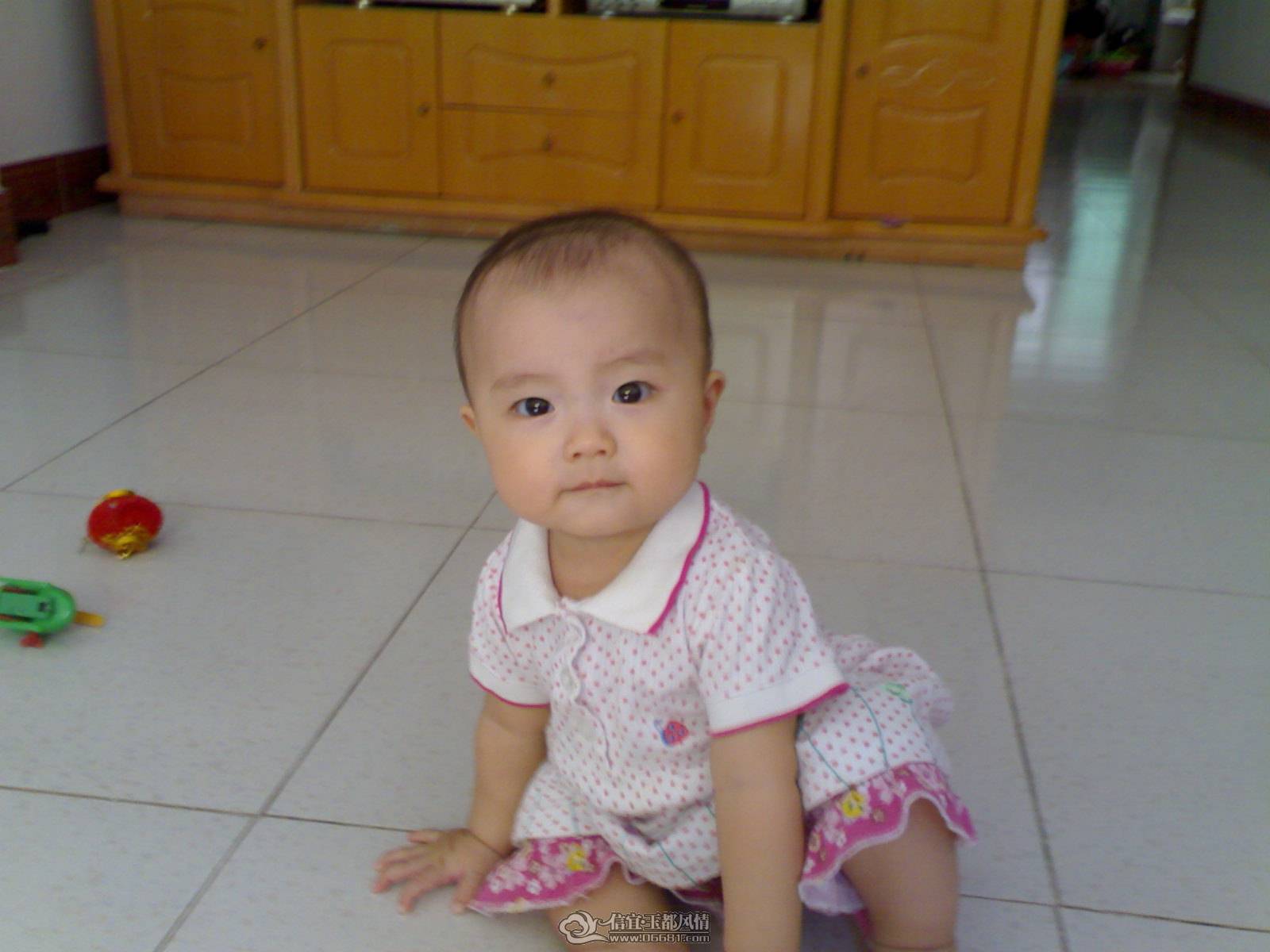 20100810183.jpg