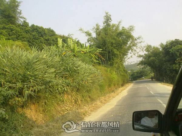 20101020592.jpg