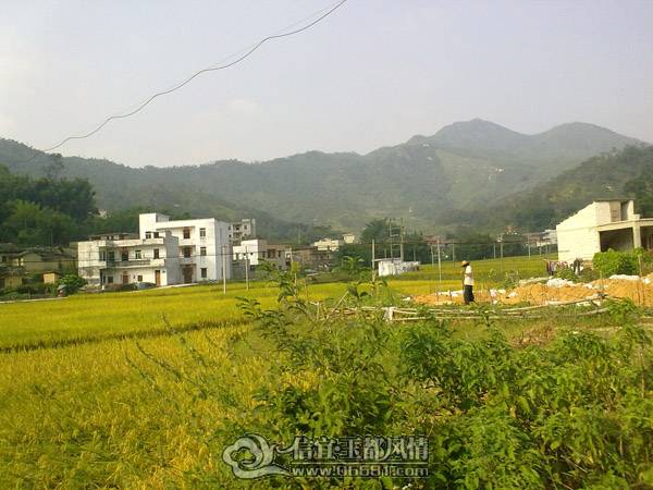 20101020611.jpg
