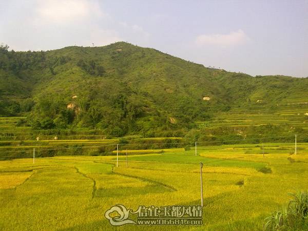 20101020629.jpg