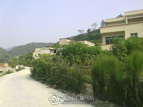 20101020627.jpg