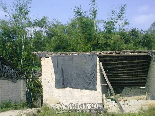 20101020639.jpg