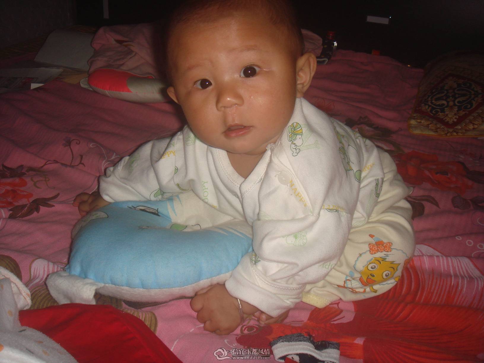 12-13-2010ѧ�������Ӻ�����.JPG