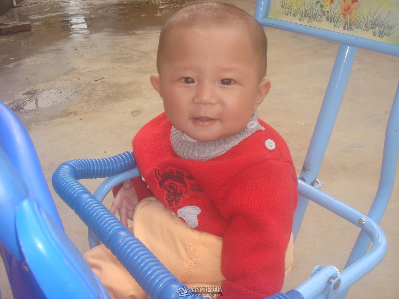 12-20-2010��������.JPG