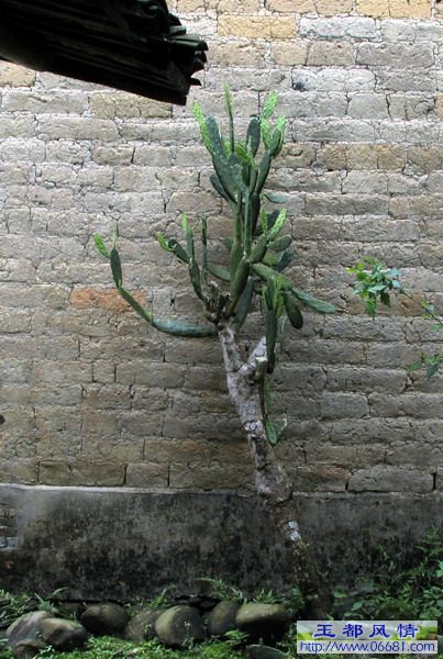���ϵ�������ƽ��03.jpg