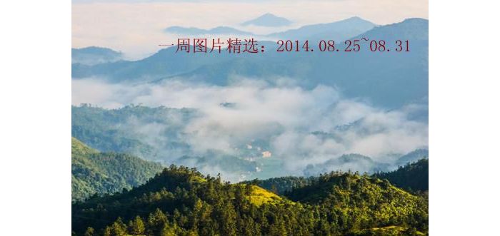 һ��ͼƬ��ѡ��2014.08.25~08.31