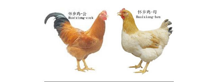 ���л��缦Դ�ֳ���Ϊ���Ҽ������Ŵ���Դ���ֳ�