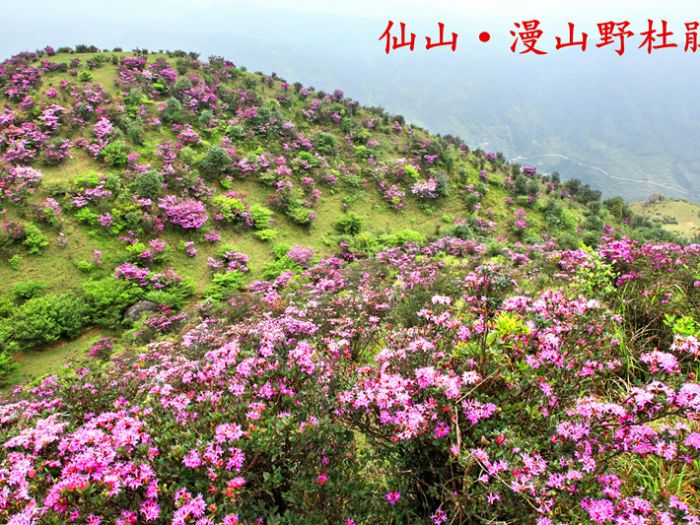 ���˶���ȸ���ž黨���࿪�� Ԥ�ƻ��ڳ�����5�³�