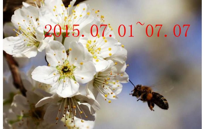 һ��ͼƬ��ѡ��2015.07.01~07.07
