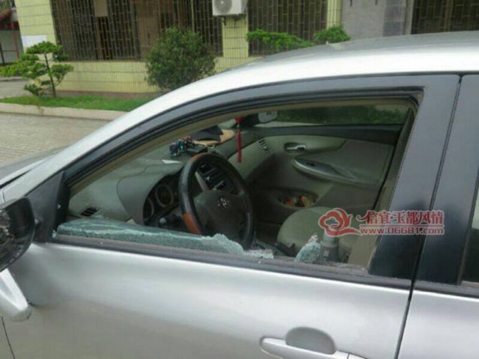 ������ĳ�ƺ���ض�������Ժ���������±��̾�