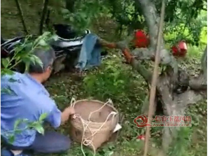 Ǯ��һ���и���Ħ�г�������������ɽʱ��������