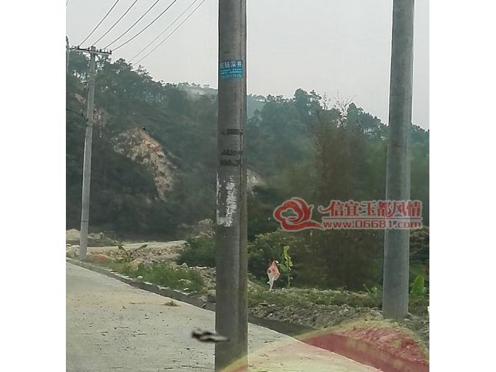 ����ƽ���������������·���� ����Ⱥ�ڳ���