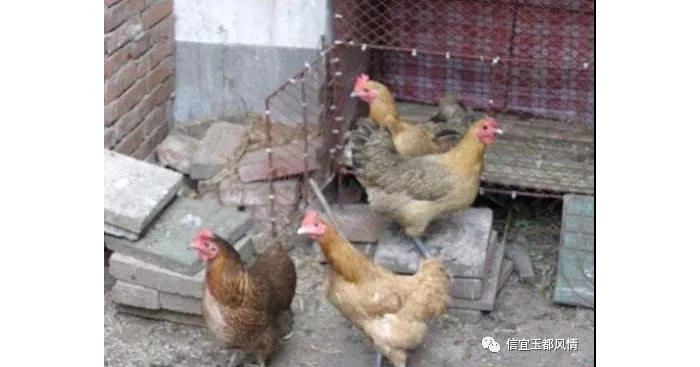 ����ֶ��Ź���ܾ��� ���˷�Ժ�����о�Ϥ������