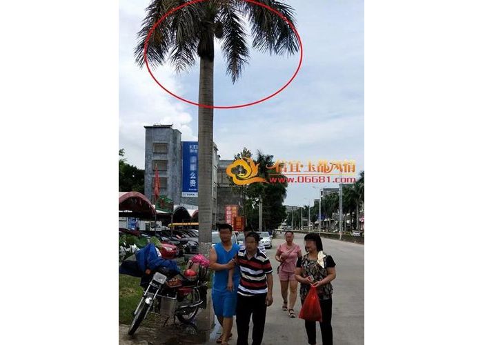 ���˳ض�·�δ���Ҭ��Ҷ���� һ�����ﳵ·��������