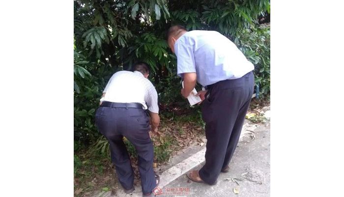 ����ˮ�ں��࿲����ӳ�д����������֯��ɱ