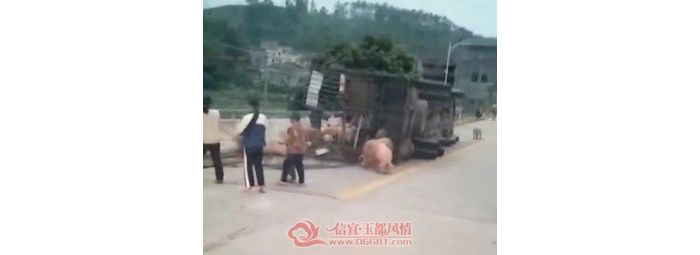 ������լ�뷢���������������෭�¹� ����������