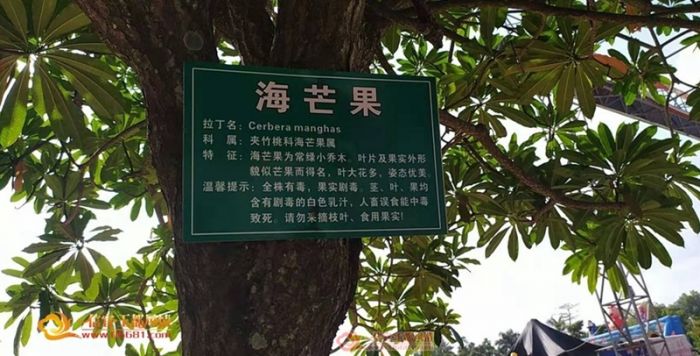 �����񶼹�԰��ĺ�â���о綾����ʳ�� ������ҪС��