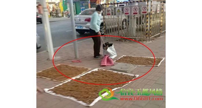����һ��������һ������ɹ��ʺ ���˷׷��ڱǶ���