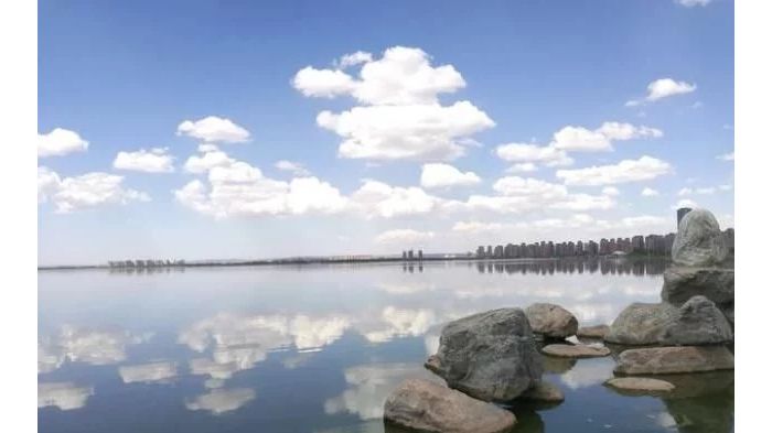 �Լ��ζ�����һ�������