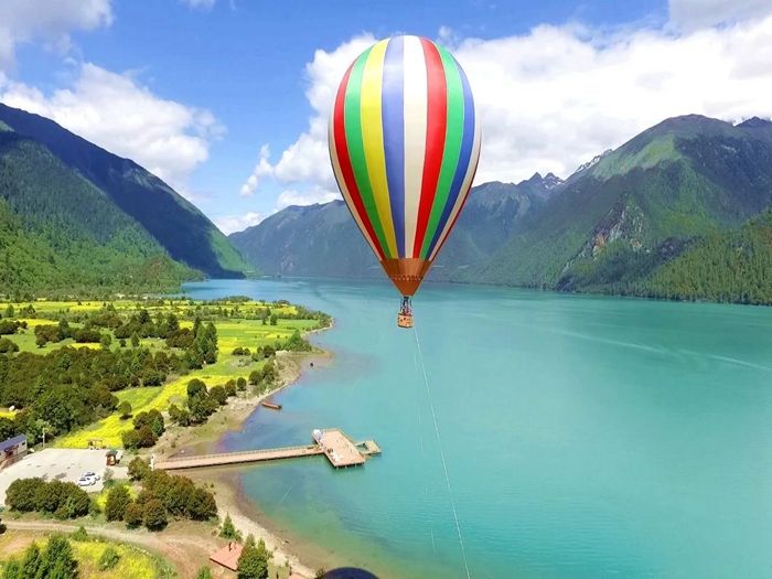 �Լ���֥���� ��һ��20�������