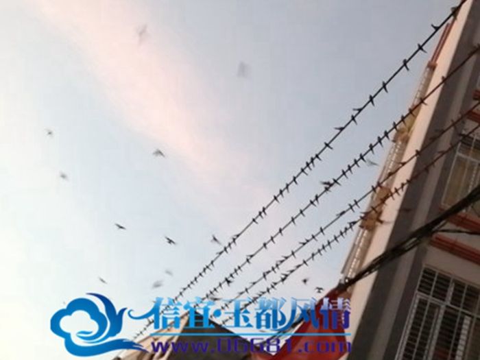 ���������´��ǧ�������Ӿۼ������ ʮ��׳��