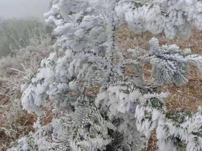 ������Ϯ ������Ǯ���䵽���