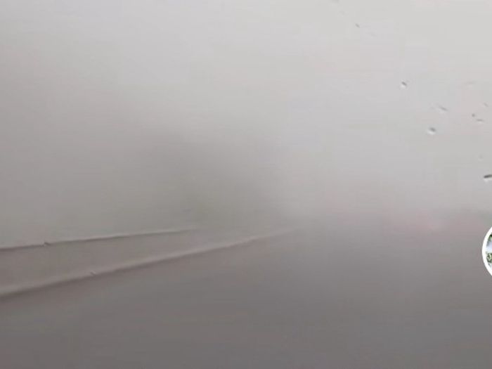���Ÿ������˶�����Ũ������ ���鰲װ����