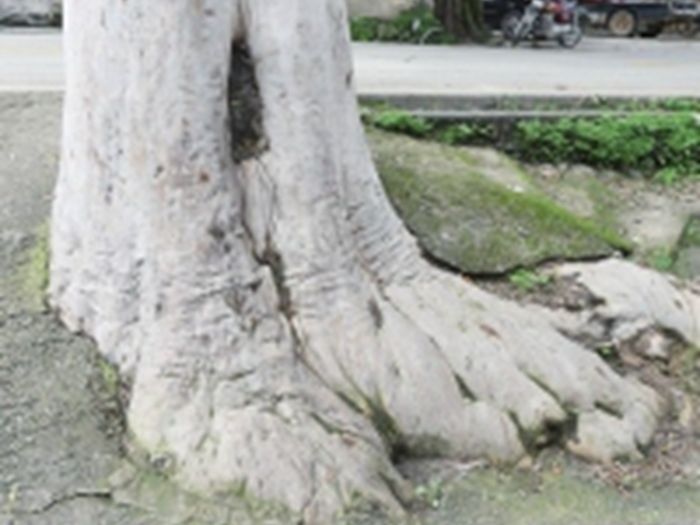 ���˴���пá�������֡�  �����������˫��